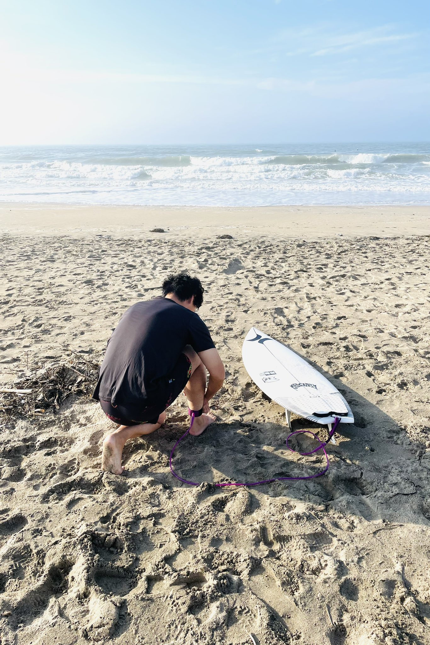 シマリス Shimarisu Risu Twitter