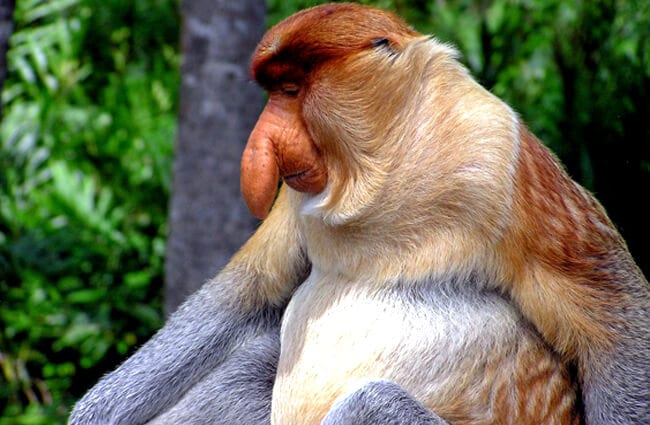 I am in the fighting game. I don't care about anything else. I don't watch the news, I don't care about politics, I don't care about other sports. I don't care about anything I don't need to care about. This is my sport: it is my life. I study it; I think about it all the time.