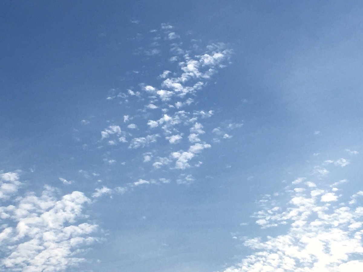 おはようございます♪
空と向き合って深呼吸
今日も素敵な一日を✨