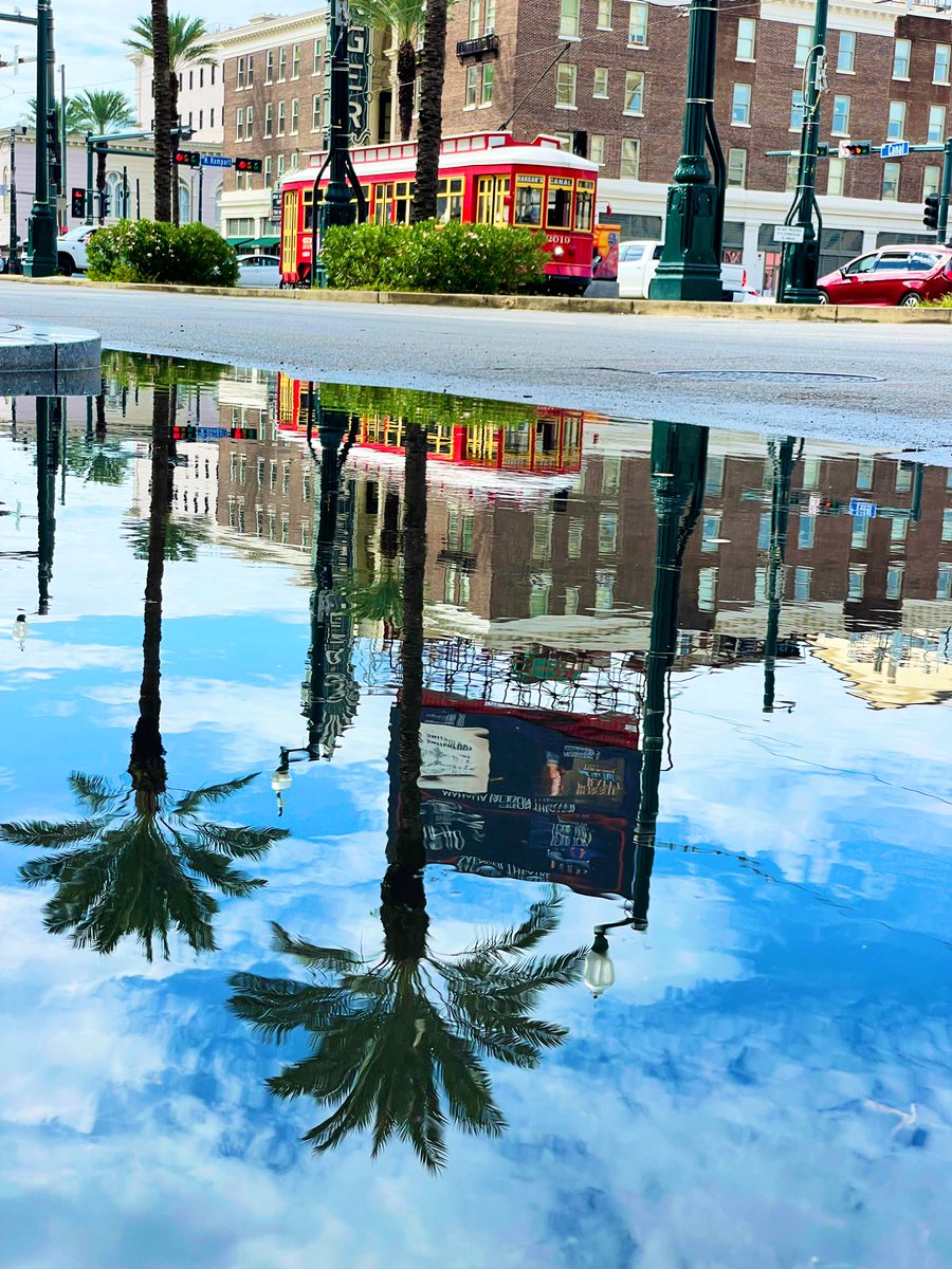 DavidMora's tweet photo. Pretty puddle on Canal Street after today’s rain. ☔️💦 #NewOrleans #OnlyLouisiana #PuddlePic https://t.co/sYubiTwN5d