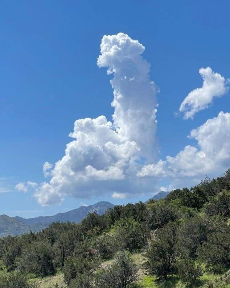 LiftForever67's tweet photo. Cloud formation taken in Mount Lemmon, Arizona this week by Mark J. Rebilas.

He said it looks like a “lighthouse overlooking a rocky shoreline.” 😳

#SummerVibes https://t.co/qCfoEw0Avv