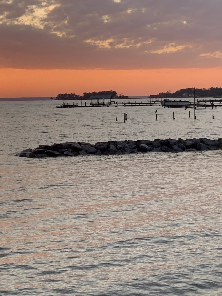HigherEdMs's tweet photo. @JaimeHuntIMC I’ll see that bet and raise you Gloucester/Gwynns. Va’s coast is a place I’m proud to call home and miss quiet a bit. https://t.co/Pjf1dfHRQ3