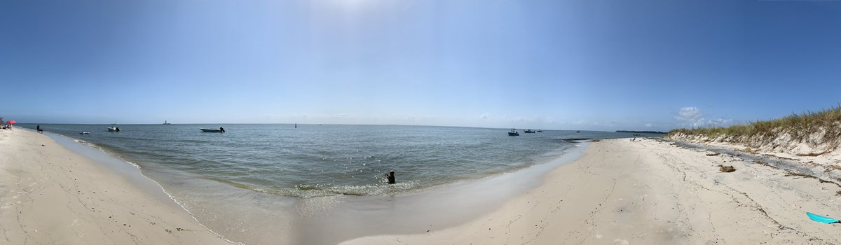 HigherEdMs's tweet photo. @JaimeHuntIMC I’ll see that bet and raise you Gloucester/Gwynns. Va’s coast is a place I’m proud to call home and miss quiet a bit. https://t.co/Pjf1dfHRQ3