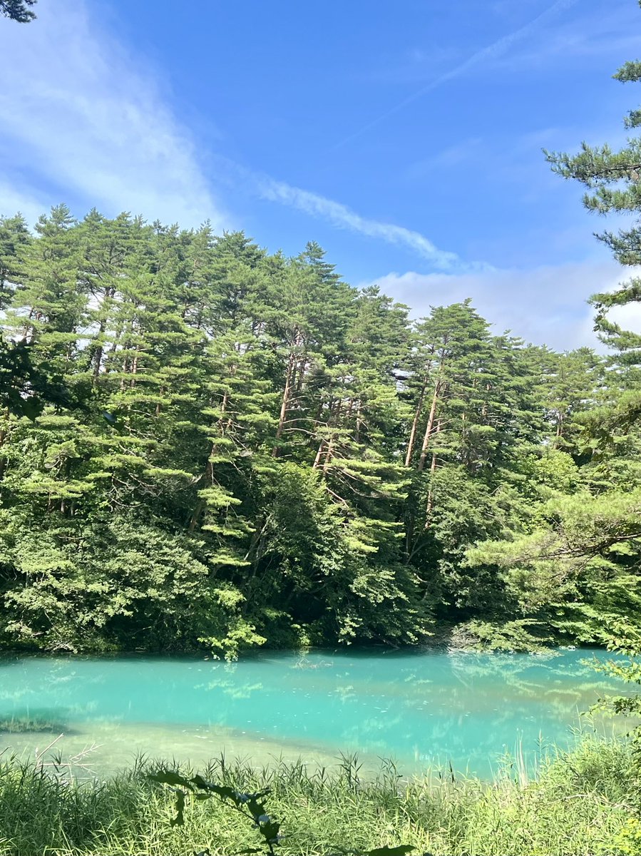 おはようございます
今朝の常陸大宮市は雲が多いけど青空もあります

蚊の日・モスキートデー（8月20日 記念日）
1897年（明治30年）のこの日、イギリスの細菌学者ロナルド・ロス（1857～1932年）が、羽斑蚊（ハマダラカ）類の蚊の胃の中からマラリアの原虫を発見した。