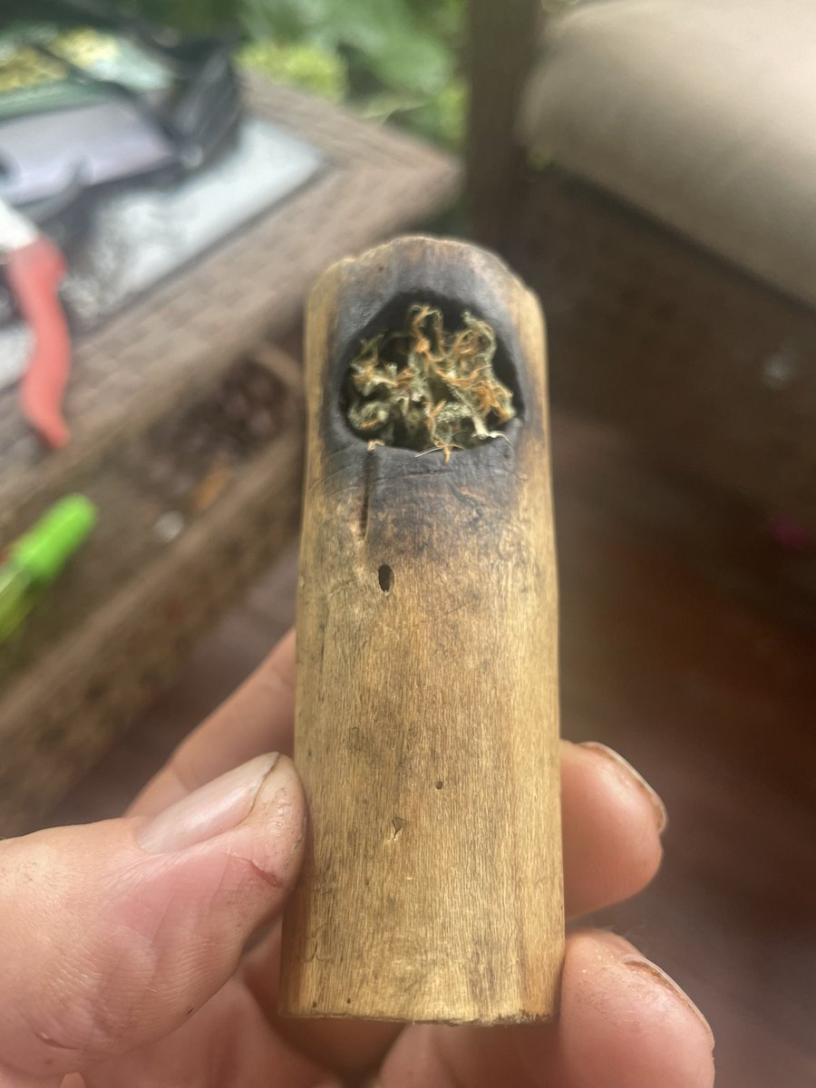 WeedVet tweet picture