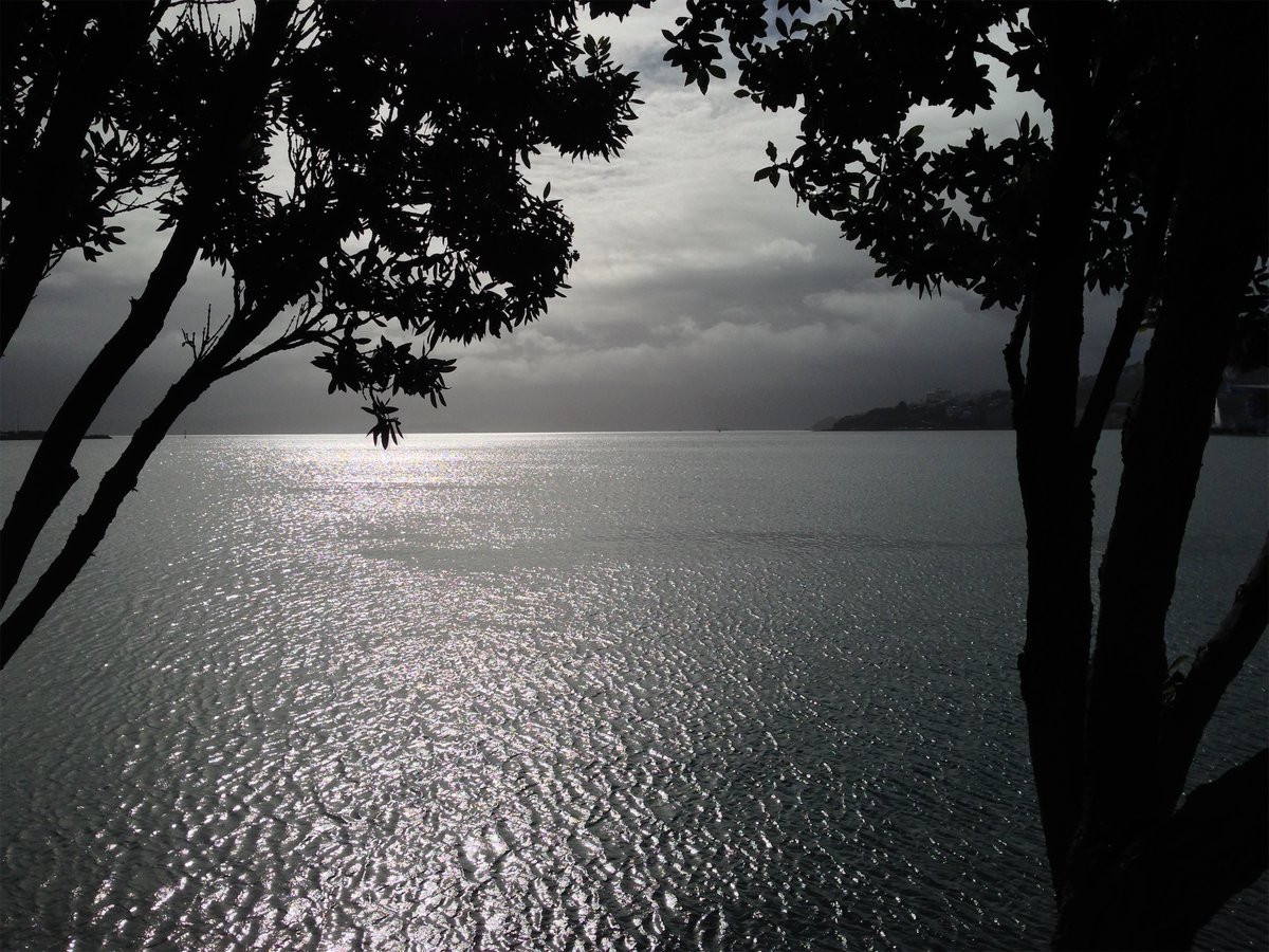 zkarj's tweet photo. Again, not monochrome
#TheHarbourProject https://t.co/QiL1w5wLDV