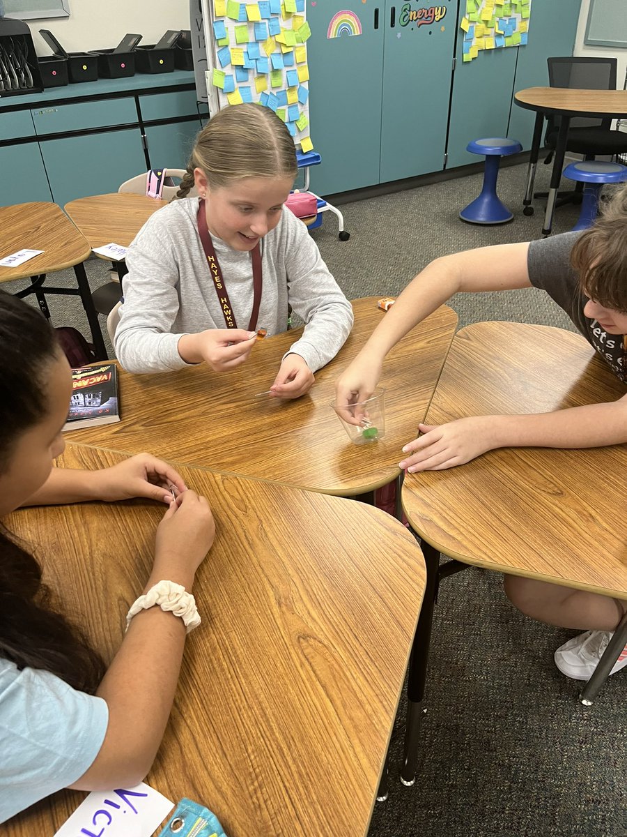 Camille Reese tweet media