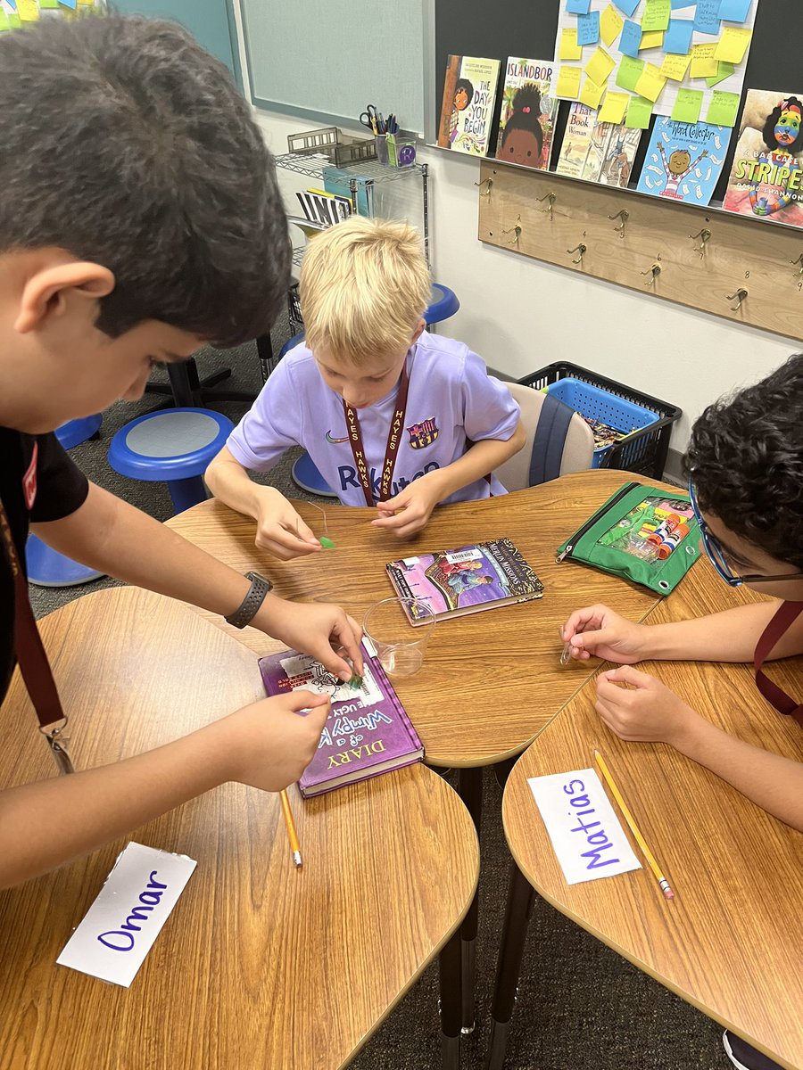 Camille Reese tweet media