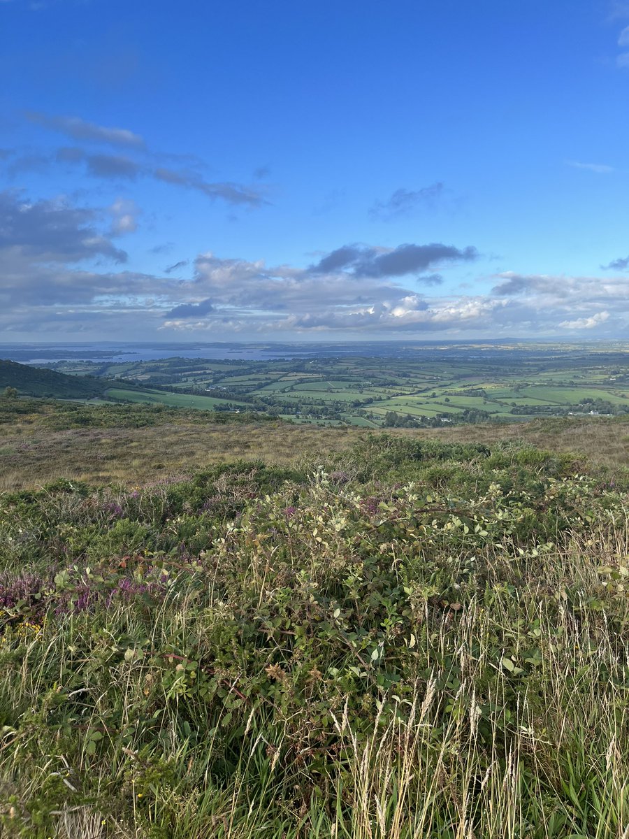 Whilst everyone is playing ladder I did some <a href="/grass_touching/">TouchingGrass</a>