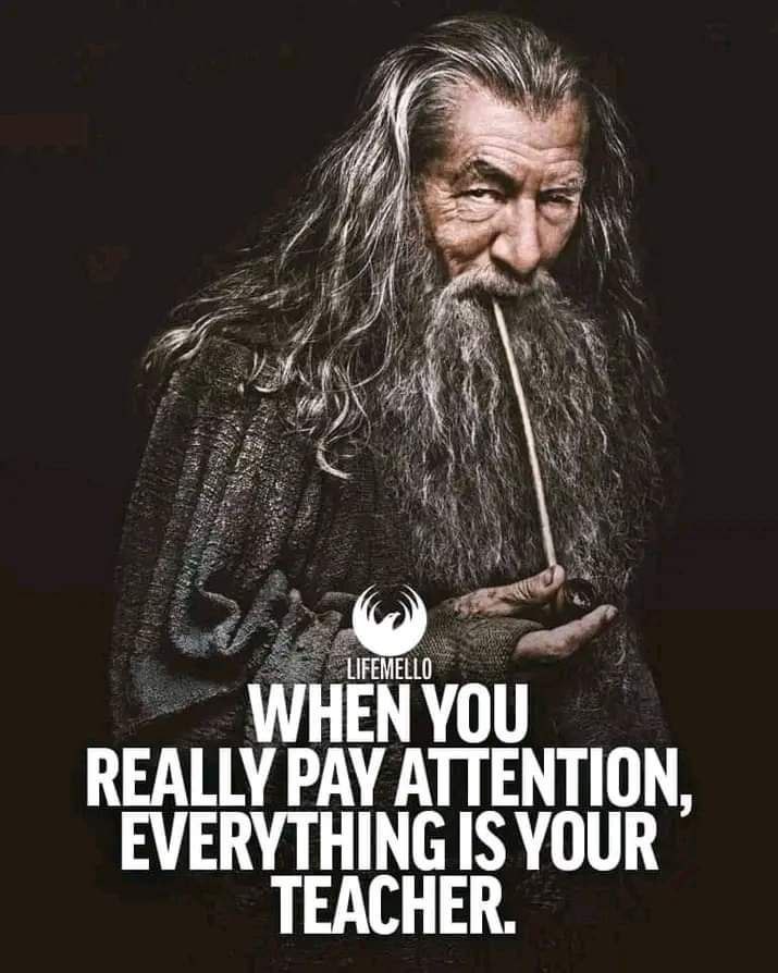 umeshonai's tweet photo. When you really pay attention, every price action, market move, candlestick is your teacher
#LearnToReadCharts like your favourite book & you will definitely #GetRichSlowly
#mindfullness #quoteoftheday #DayTrading #fintwitter https://t.co/meOW9v0iyr