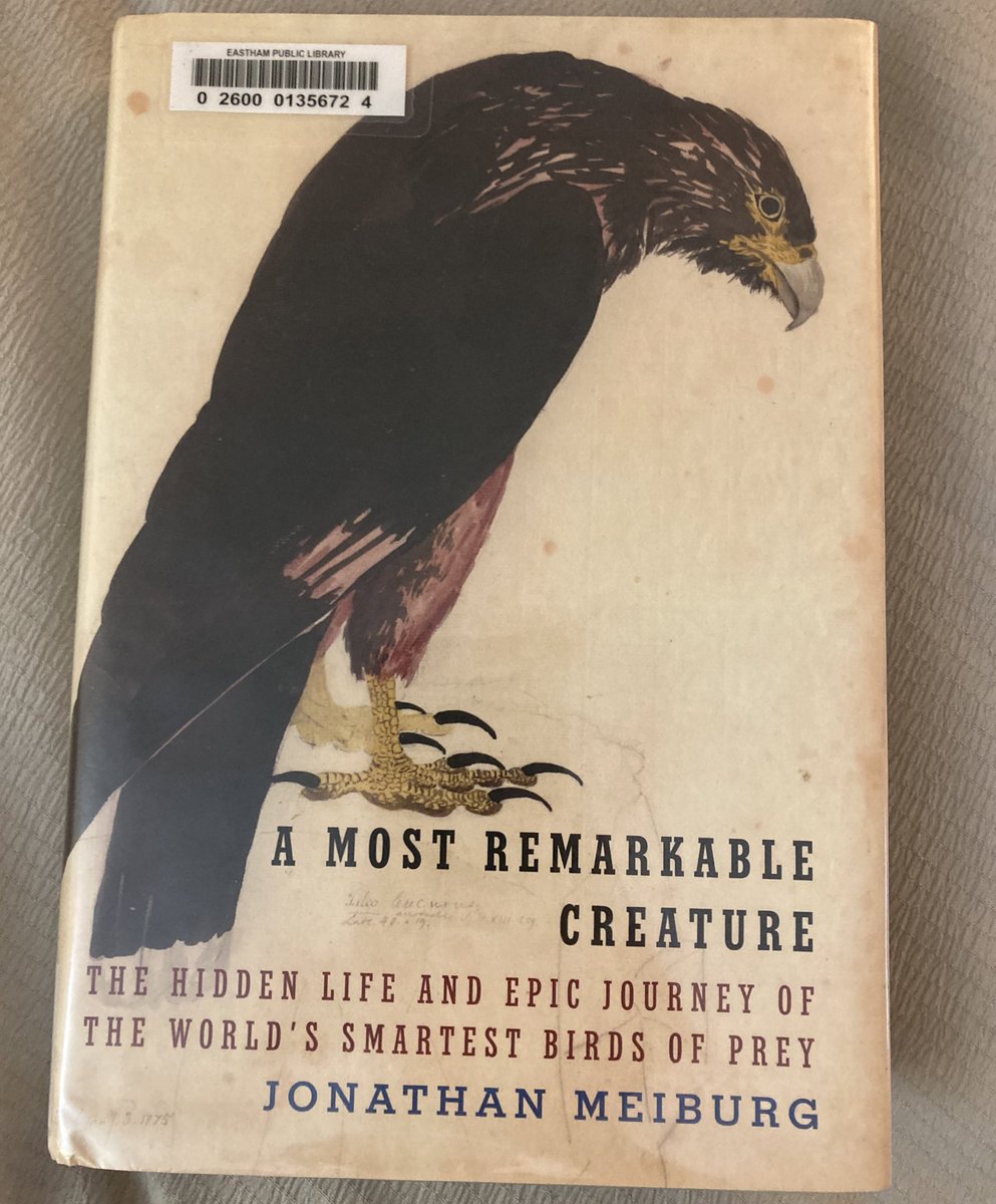 young_wallaby's tweet photo. One of the best books Ive read this year. Started listening to @JonathanMeiburg when he was in okkervil river then @ShearwaterBand. I was super excited when I learned he wrote a book about birds. I can attest his storytelling is just as good if not better then his music https://t.co/TcmW7b8qHq