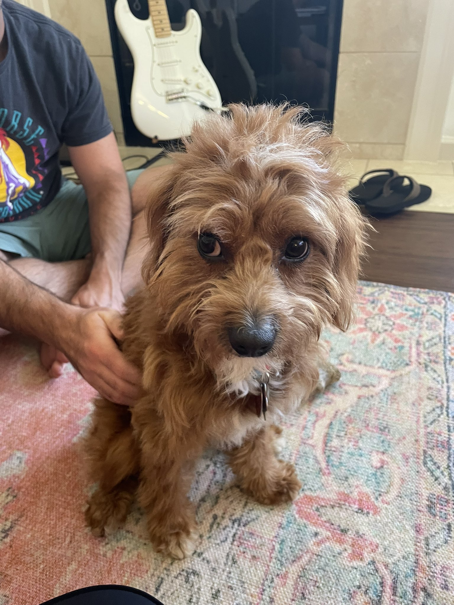 Evelyn Schultz on Twitter: "This face. https://t.co/AEexoDEGSr" / Twitter