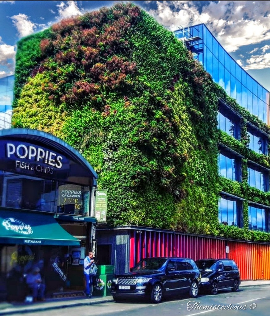 Irene4them's tweet photo. #camden #London #uk #England #Travel #landscape #landscapes #PhotographyDay #photographer #photographylovers #photography @photography #Skylove #travelblogger #Traveller #photo https://t.co/5hEGq45aNN