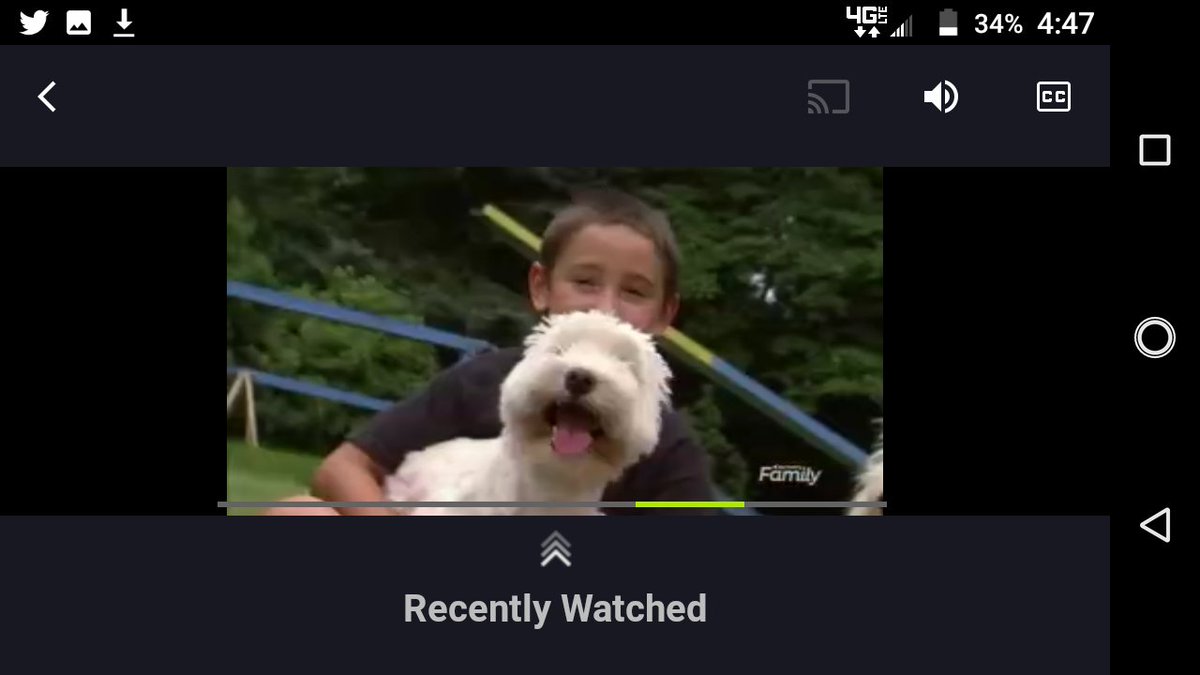 westiesrule13's tweet photo. Looky 👀what I just ran across on @famchannel Dogs101 🐶 #westie episode 🤩♥️😍 #earthdog trials I 🥰 this episode "boldest personality of ALL dogs" 🐕🐩🐶 ⚡🙌 "They're like little Napoleon's" 😤 🪖 These dogs are no 🛋️ potatoes 😂 #westies RULE 🐾🤗😎 https://t.co/y0WHA73sle