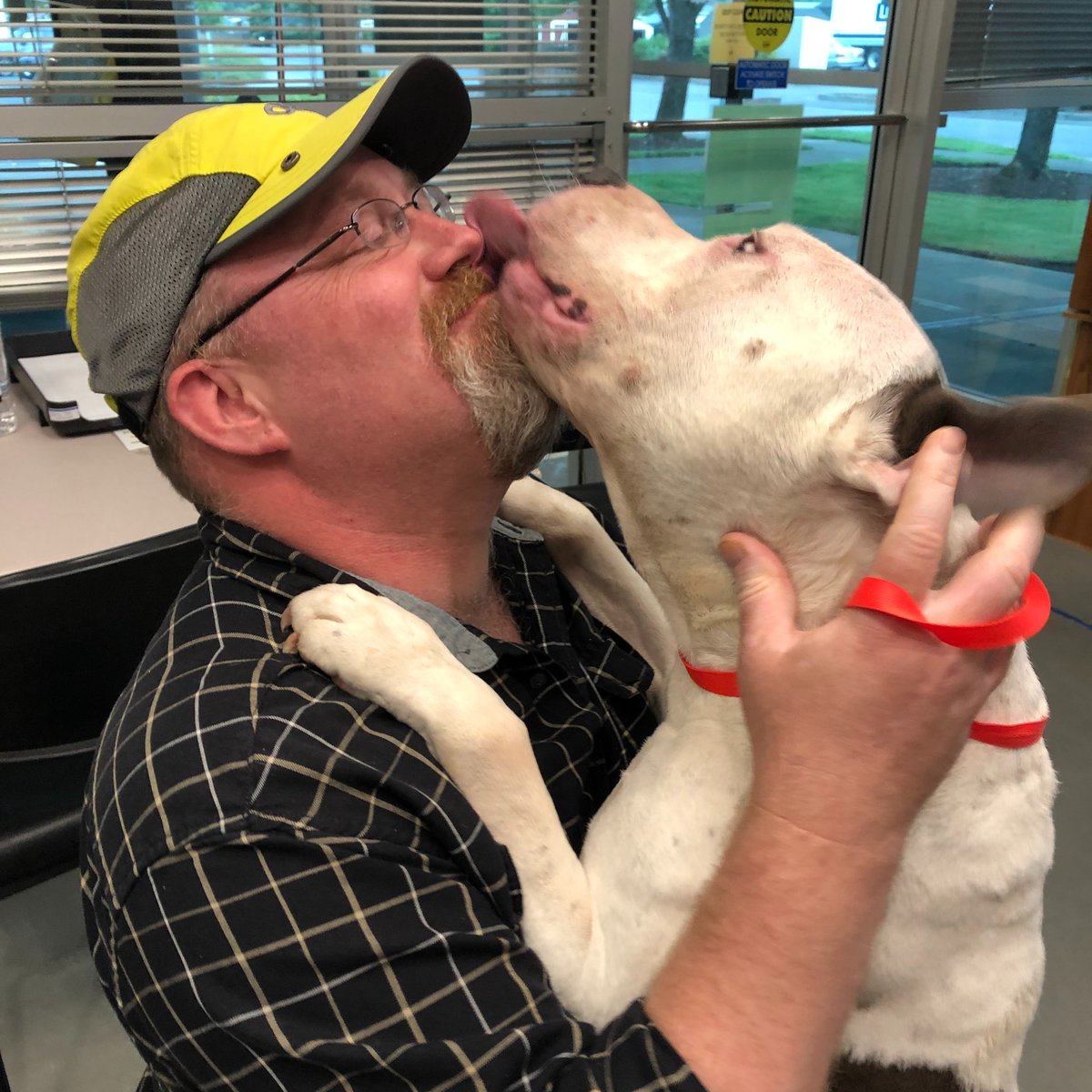 Looking for a #FridayFeelGood moment? Zeus was #reunited with his person at the Bonnie Hays Animal Shelter yesterday!