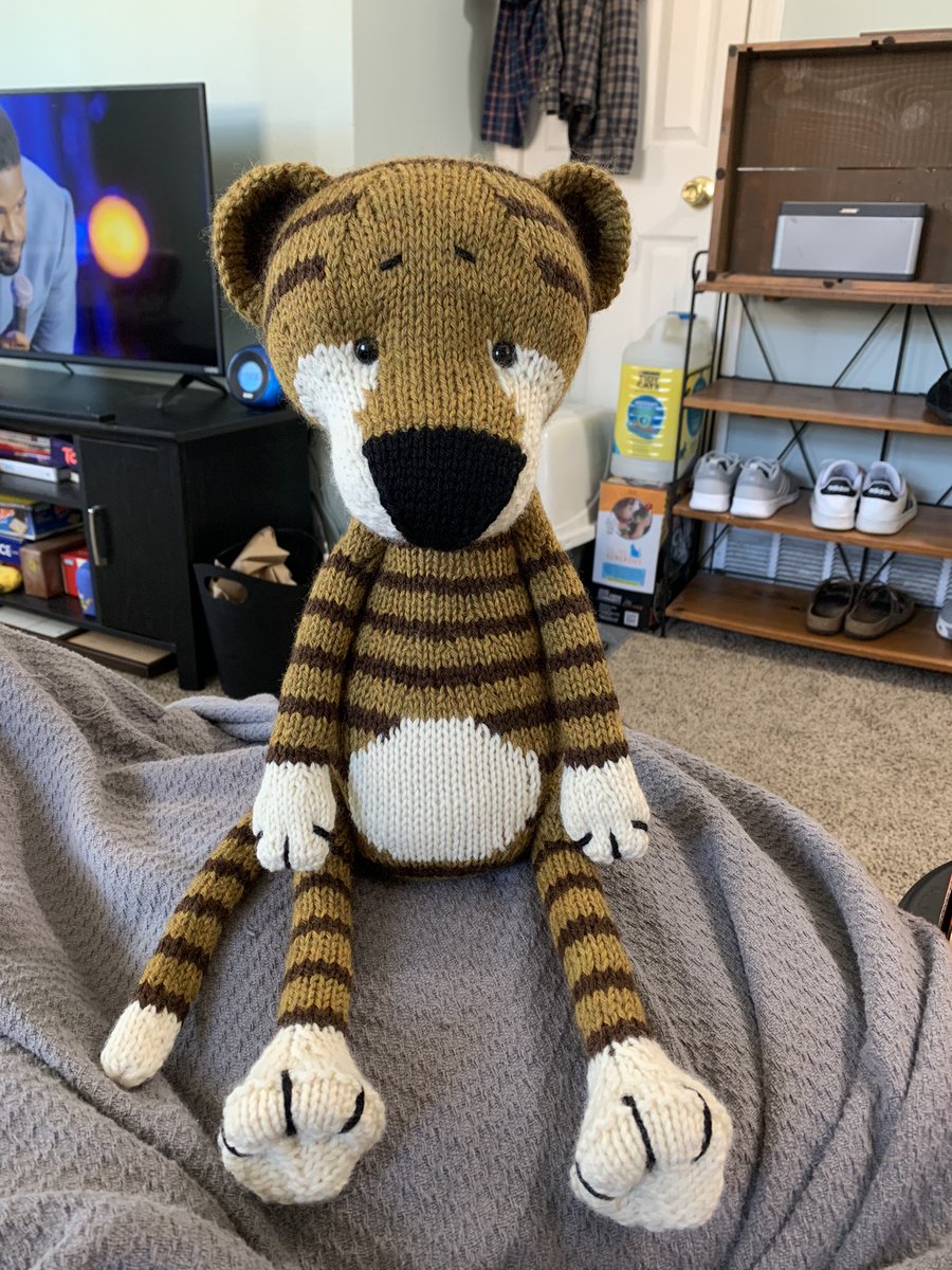 latest project finally done ! 🐯🧶