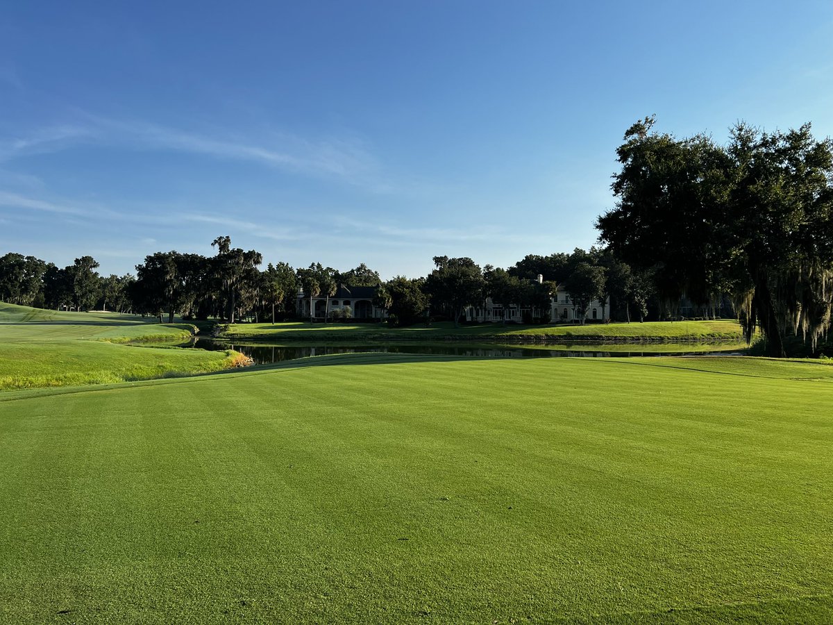 Zachary_turf's tweet photo. 8 week old TifEagle green. #sprigs https://t.co/X5IIJxsmoe