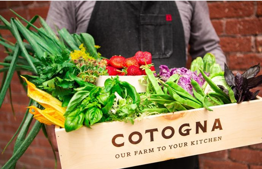 GillamEEG's tweet photo. Had a business lunch at one of my favorite farm fresh to table sf Italian restaurants #cotognasf last Friday…check it out…. #freshrunfarm #onthemenu #wintersquash, #flavorsofsicily, #spaghettoni #localdungenesscrab https://t.co/G5XaNbomMg