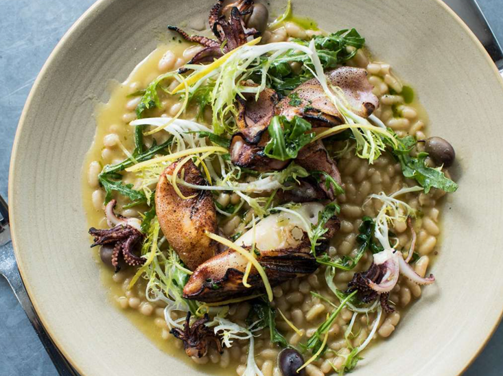 GillamEEG's tweet photo. Had a business lunch at one of my favorite farm fresh to table sf Italian restaurants #cotognasf last Friday…check it out…. #freshrunfarm #onthemenu #wintersquash, #flavorsofsicily, #spaghettoni #localdungenesscrab https://t.co/G5XaNbomMg