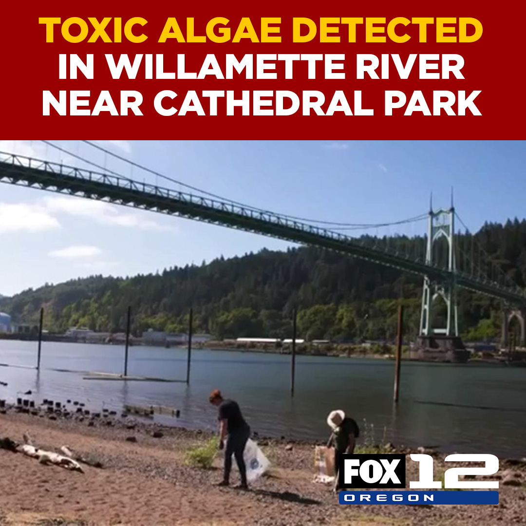 FOX 12 Oregon on Twitter "Avoid swimming and activities that spray