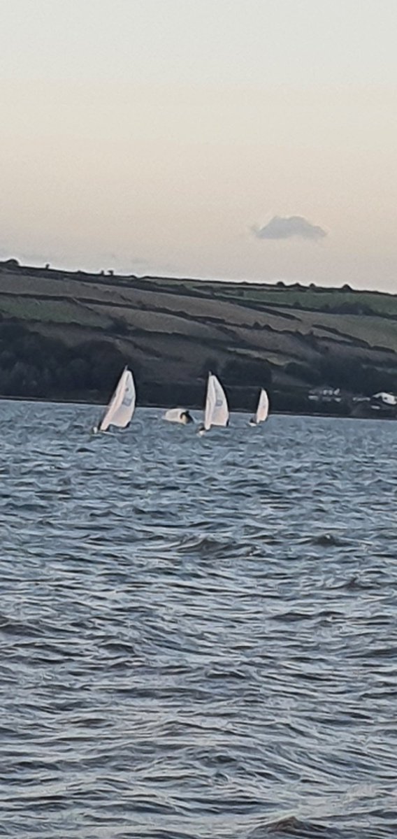 Aghada Sea Scouts tweet media