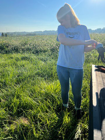Mitch Roth (@mitch_roth12) on Twitter photo Upon further inspection, SDS is starting to show up in some inoculated plots in Ohio. Incidence is low, but if you have a history of soybean #SuddenDeathSyndrome, it might be time to scout! Thankful for a helpful team today! <a href="/TiffannaR/">Tiffanna Ross, Ph.D.</a> and #twitterless Maeve and Annika Upon further inspection, SDS is starting to show up in some inoculated plots in Ohio. Incidence is low, but if you have a history of soybean #SuddenDeathSyndrome, it might be time to scout! Thankful for a helpful team today! <a href="/TiffannaR/">Tiffanna Ross, Ph.D.</a> and #twitterless Maeve and Annika