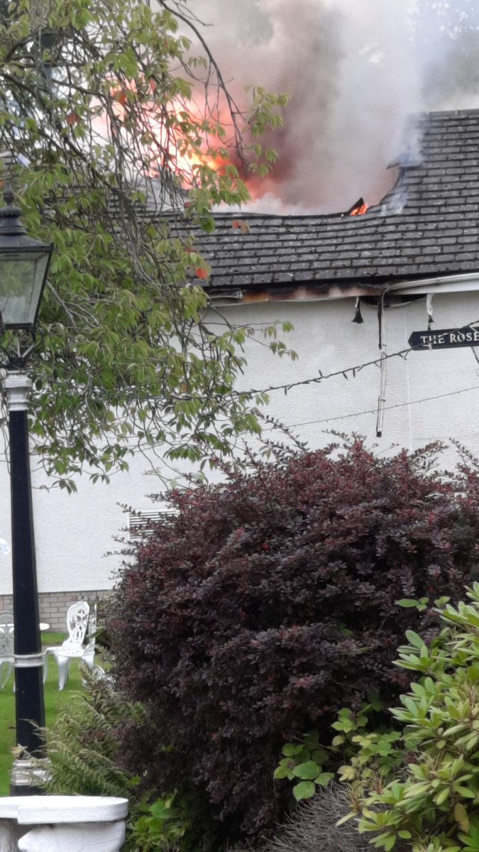 Ginni Manning tweet media