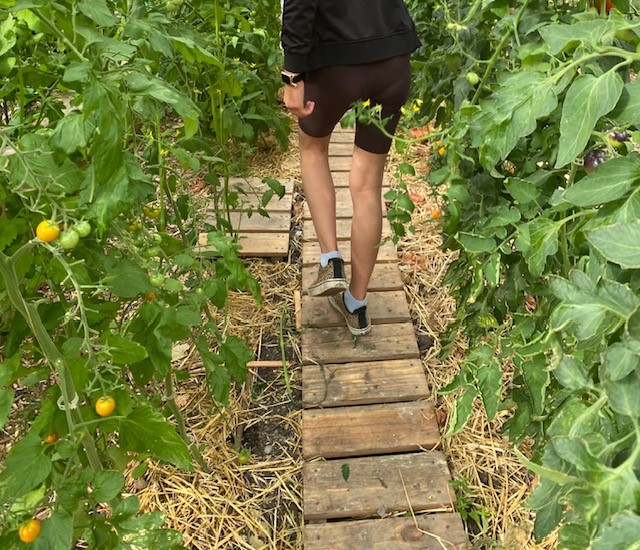 William Roper Hull School tweet media