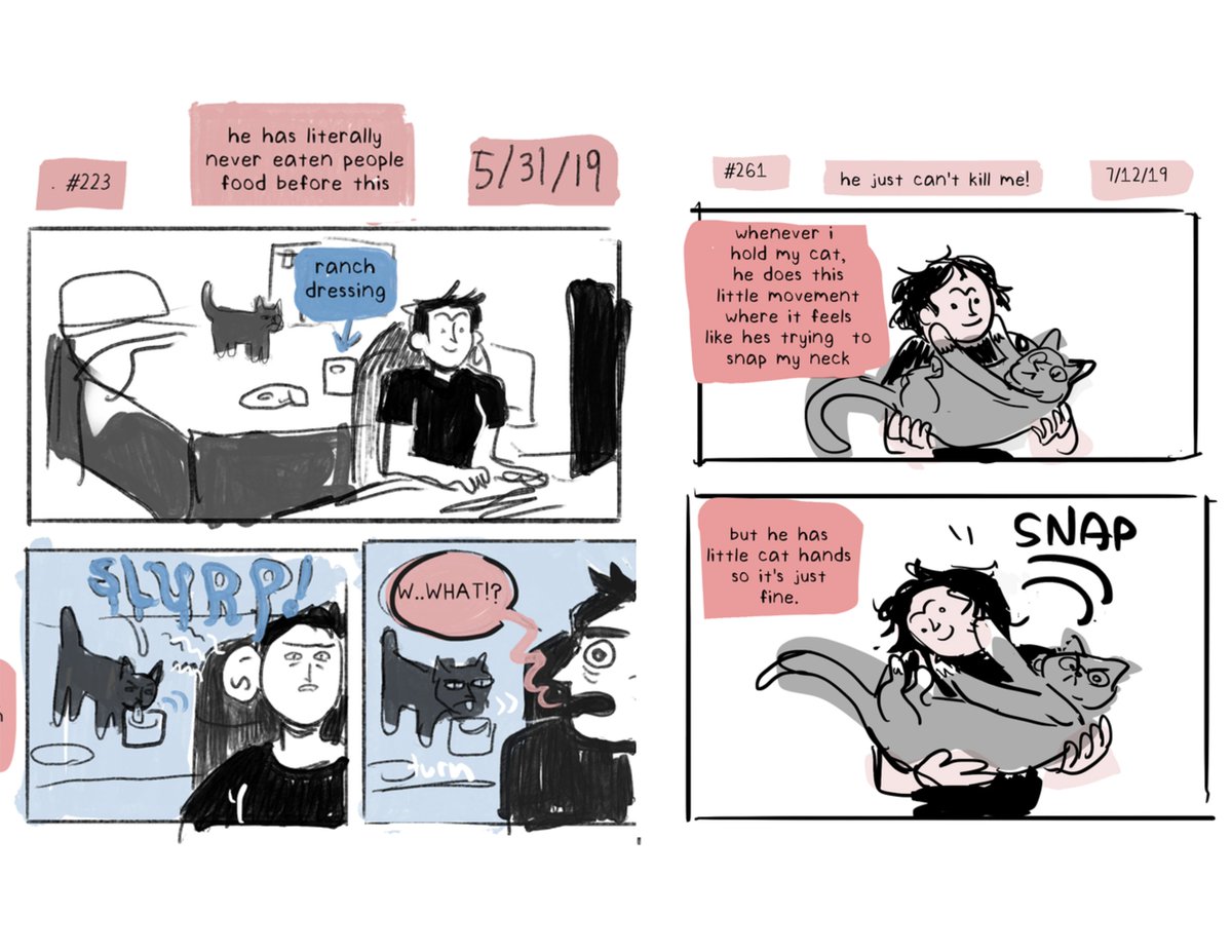 ❤️🐈‍⬛❤️ (1/3) 