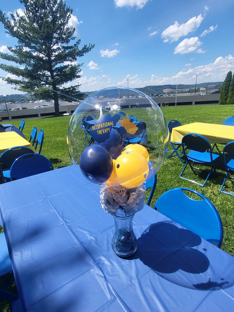OTR621's tweet photo. The Welcome Back Picnic was a huge success! OT student Corn Hole Tourney was super competitive. #WVUOT #365WVUOT https://t.co/lhV9YVwmdc