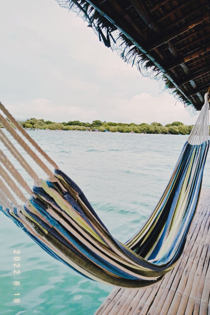 badgaljoyt's tweet photo. Chilin vibes 🌅 https://t.co/8LsAQpR2G2