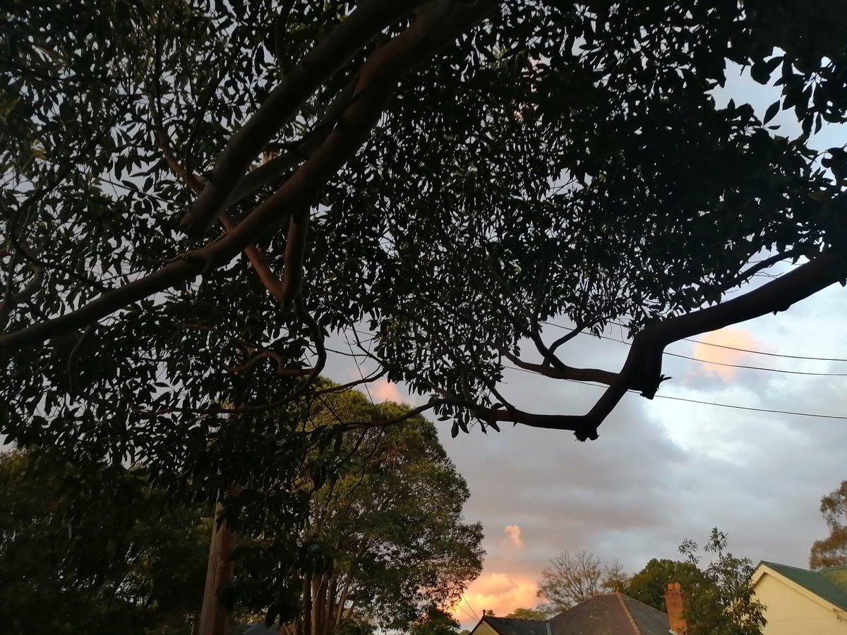 Such a beautiful world!