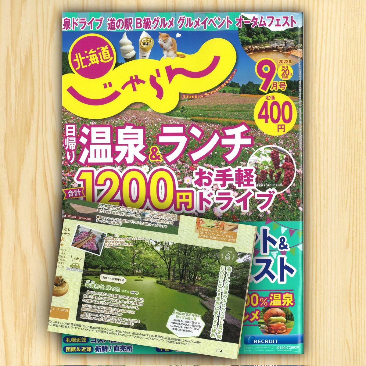 人気ショップ 帯広神社 御神酒 非売品 tyroleadership.com