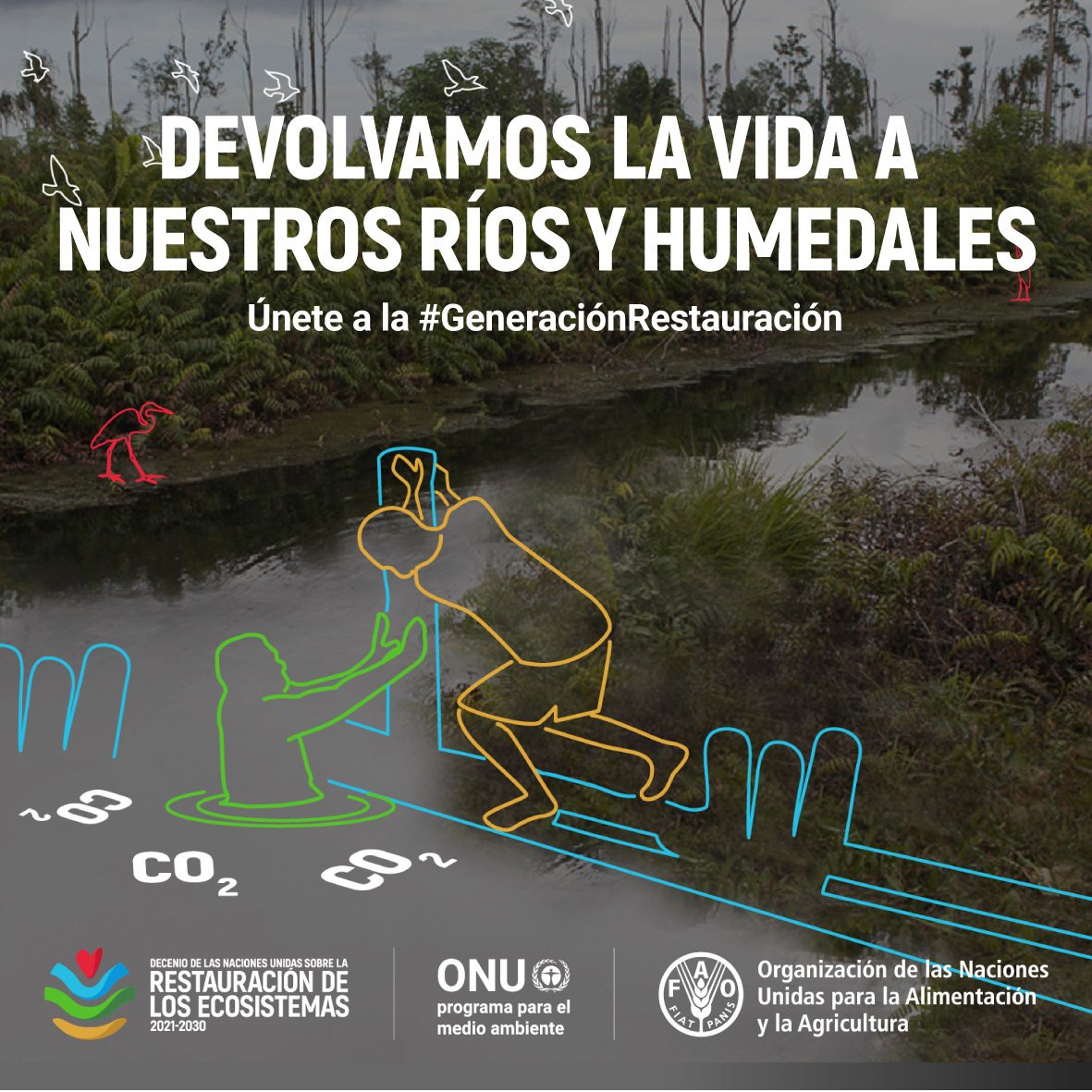 canal_ambiental's tweet photo. #RT @unep_espanol: Las turberas cubren un 3% de la superficie terrestre, pero almacenan casi un 30% del carbono del suelo.
#ActúaAhora para mantener el carbono de las turberas en su lugar y para rehumedecer las turberas degradadas.
Únete a la #Generaci… https://t.co/RkZyRUELEJ