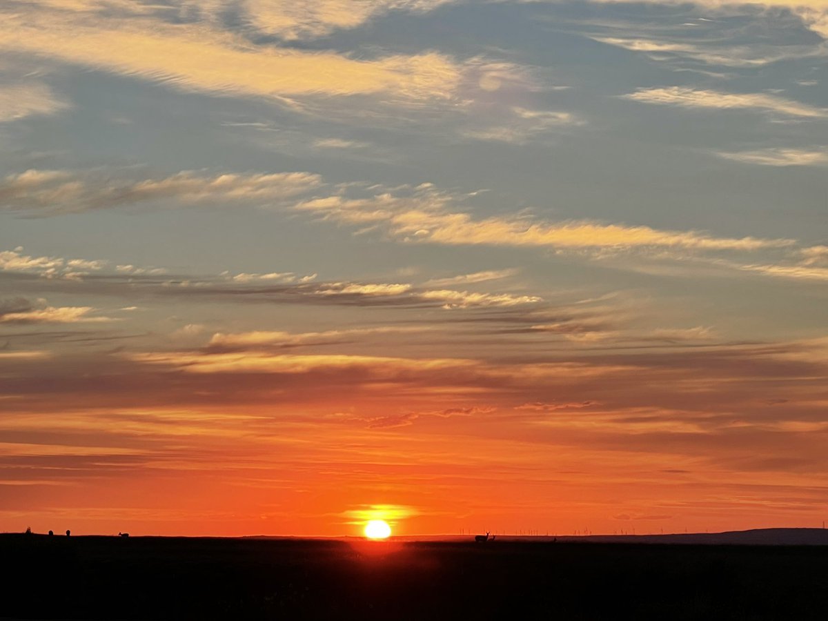 adamjardon's tweet photo. @ryanwrightphoto Ryan this was mine! Antelopes and sunsets… https://t.co/70X346e9IL