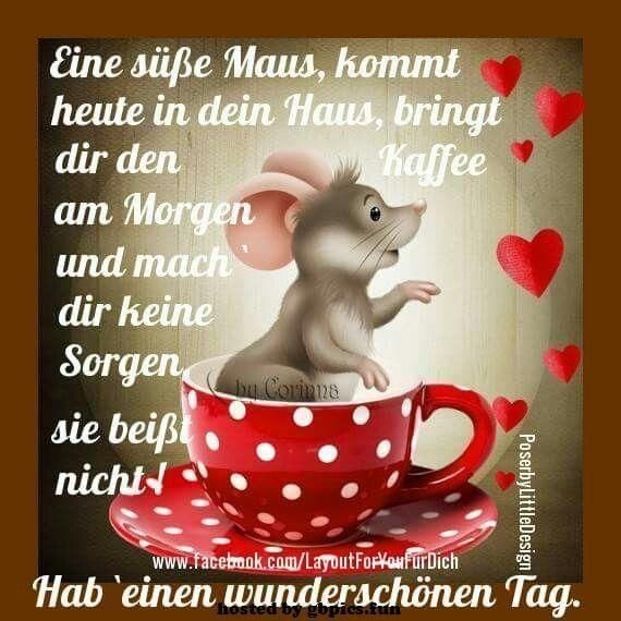 Schönen guten morgen ☕️ ☕️