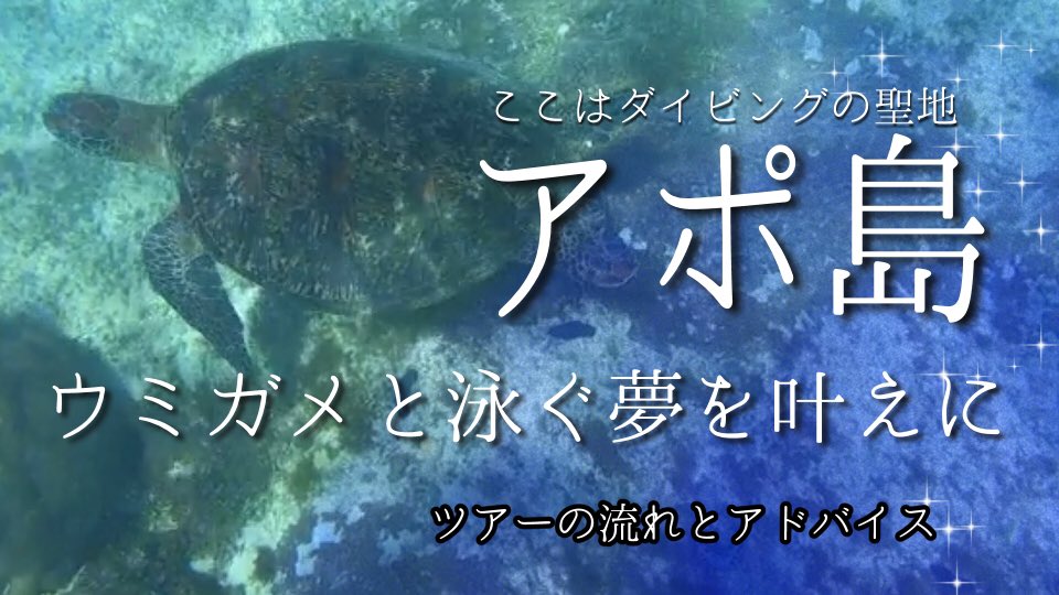 フィリピンのダイビングの聖地✨

まさかのアポ島でお金が足りなくなったわたしなのでした…˙˚ʚ🥺ɞ˚˙
お土産たくさんﾎｼｶｯﾀ…

あと知られざるハイキングコースに行ってきました。
登りすぎて全身筋肉痛になったであります└(└ 'ω')┘

 #Philippines #ApoIsland 

youtu.be/8Fgc_FRko68