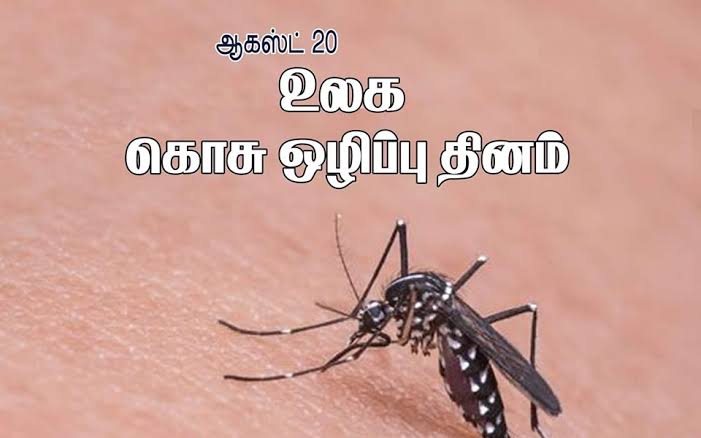 #WorldMosquitoDay2022
சுற்றுப்புறங்களில் தேவையற்ற தண்ணீர் மற்றும் குப்பை தேங்குவதால் கொசு உருவாகிறது, சுற்றுப்புறத்தை பேணிக் காப்பது ஒவ்வொரு தனிமனிதரின் கடமை.
நம் இடத்தை தூய்மையாக வைப்போம். நோய்களைப் பரப்பும் கொசுவை ஒழிப்போம். #WorldMosquitoDay #EndMalaria #malaria #mosquitoes