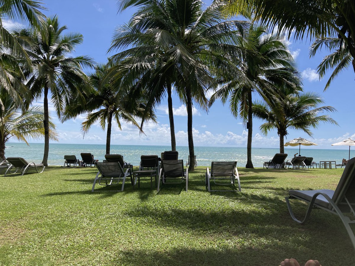 PTrainingMartin's tweet image. 