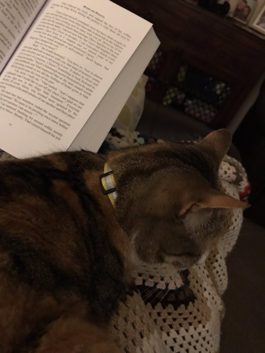 Couldn’t get back to sleep so me and the Clipster are catching up on some reading. #catdad #reading #bloodandbiscuits #cmallen #booksbooksbooks #bookstagram <a href="/CAl1en/">Author C. M. Allen</a>