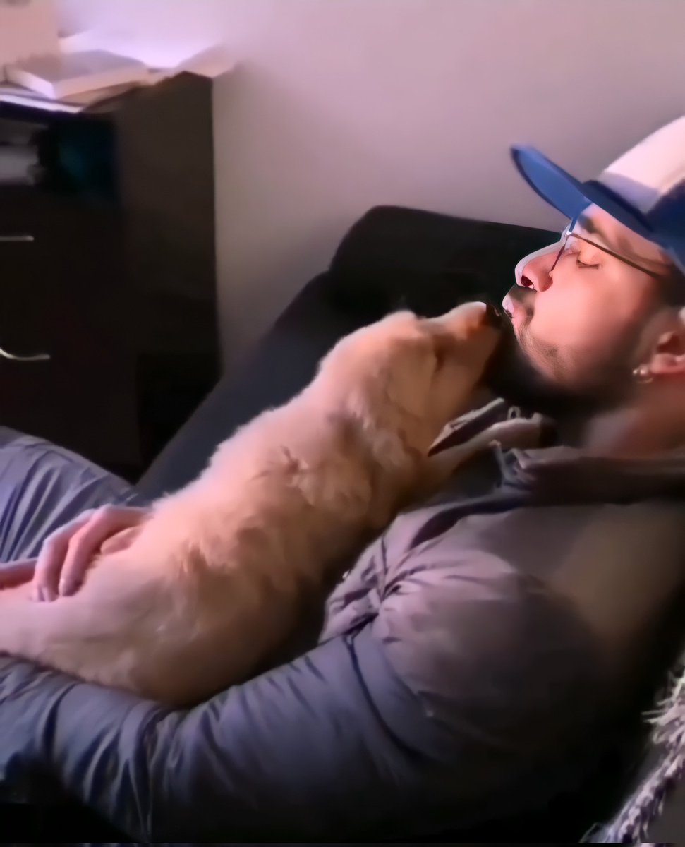 Sapitaparcera's tweet photo. es un 10 pero le gustan los perros,un 10000000 😍😍😍
#RewindEPDA https://t.co/OgiqfMLZ0x