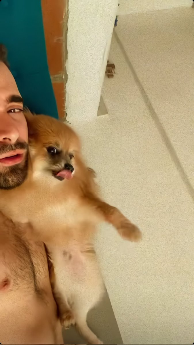 Sapitaparcera's tweet photo. es un 10 pero le gustan los perros,un 10000000 😍😍😍
#RewindEPDA https://t.co/OgiqfMLZ0x