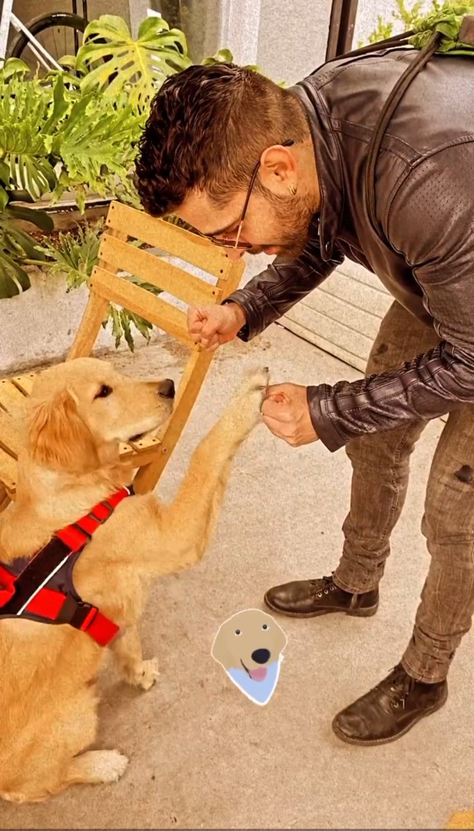 Sapitaparcera's tweet photo. es un 10 pero le gustan los perros,un 10000000 😍😍😍
#RewindEPDA https://t.co/OgiqfMLZ0x