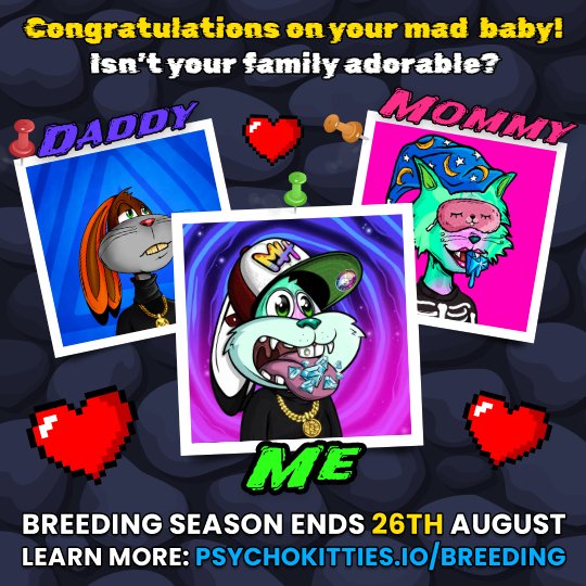 KeyadoranCrypto's tweet photo. My @MadHareSociety and PsychoMolly did it like they do on the Discovery Channel and got freaky in my wallet 😏 Now I have a MAD BABY 😺 #MadHareBaby https://t.co/XVRGpZ24eF