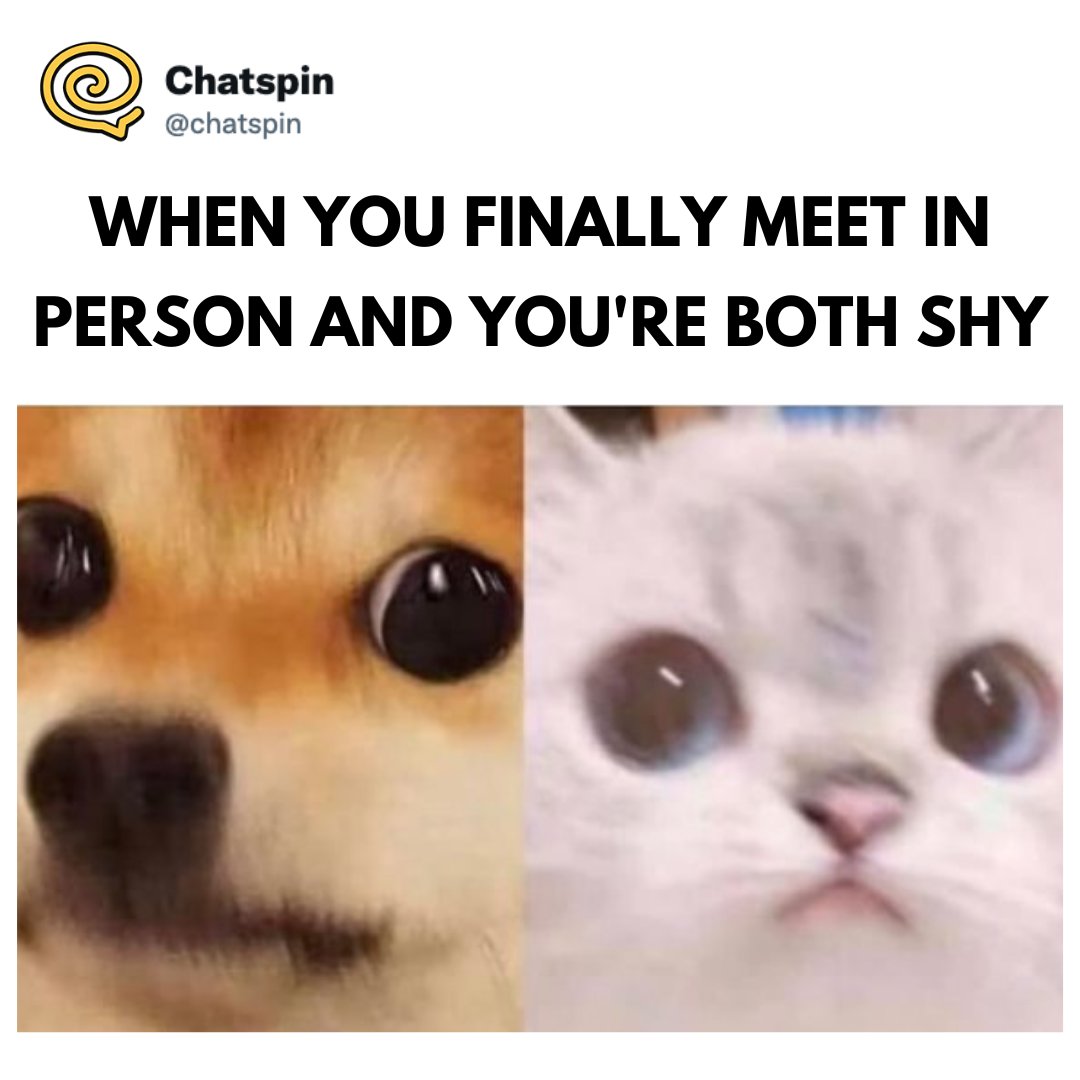 chatspin's tweet photo. Good thing that wasn't awkward or anything. 🤭 😂 #bff #bestie #findnewfriends #Chatspin #friendmemes https://t.co/JCmZAxlhFW
