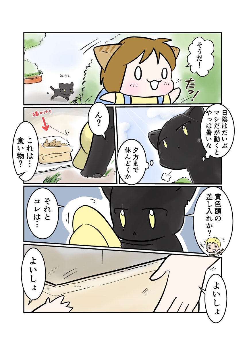 #スパダリにゃんこ 
#くぅの日常 第141話
世界は愛で回っている①

ハイスペックなスーパーダーリン、スパダリ猫を目指すくぅと、飼い主しずくの日常マンガ。

シオの暑中見舞いに来たくぅ。ふと何か思いついた様子。
一方くぅの忘れ物に気づいたシオは…?
#猫マンガ 