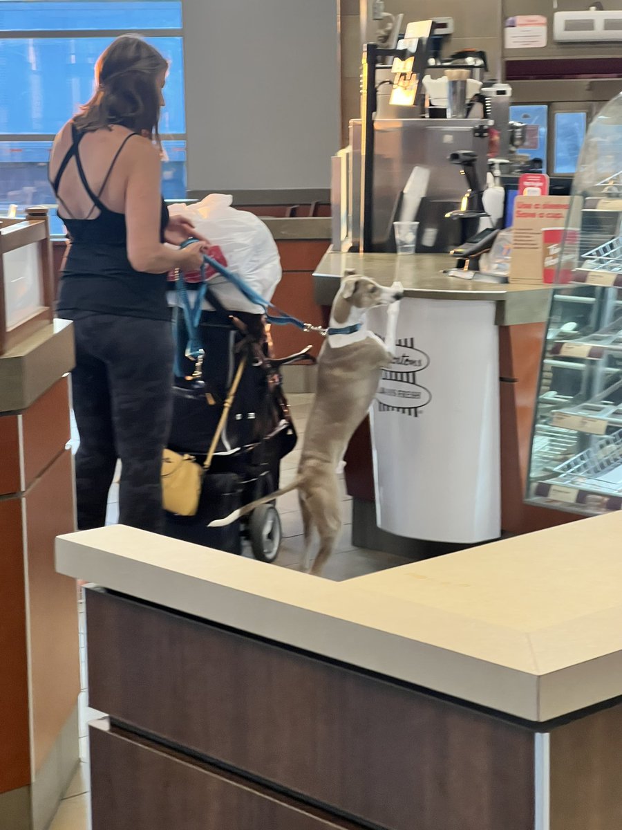 gkitching's tweet photo. Food safety?? #Timhortons https://t.co/d0fYh1cf6z