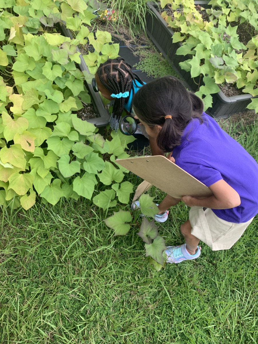 dragonsOCPS's tweet photo. Another magical week at VPE! Our Dragons are learning through innovative and engaging lessons inside and outside the classroom.
ADVENTURE is everywhere!
#vpedragons #vpelevelup #dragonmagic @Southeast_OCPS @OCPSnews @JohannaForFL https://t.co/6BcJF7Mf5S