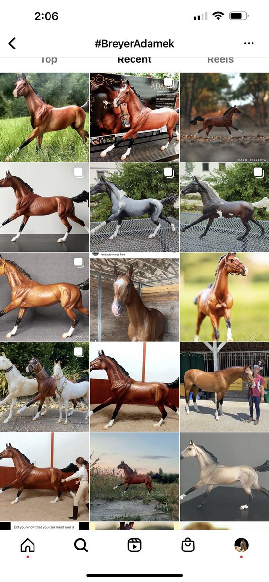 AkhalTekeFound's tweet photo. @breyerhorses So many great pics of #BreyerAdamek on @Instagram! ❤️

#BreyerModel #AkhalTeke #stallion #AdamekAT https://t.co/6w8SJx9v1o