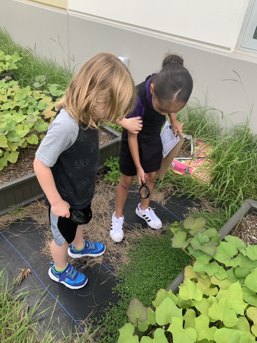 dragonsOCPS's tweet photo. Another magical week at VPE! Our Dragons are learning through innovative and engaging lessons inside and outside the classroom.
ADVENTURE is everywhere!
#vpedragons #vpelevelup #dragonmagic @Southeast_OCPS @OCPSnews @JohannaForFL https://t.co/6BcJF7Mf5S